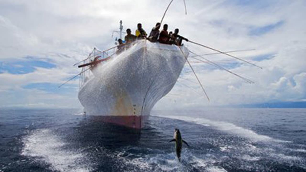 Still from Fragile Paradise