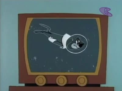 Still from Missile Bound Cat