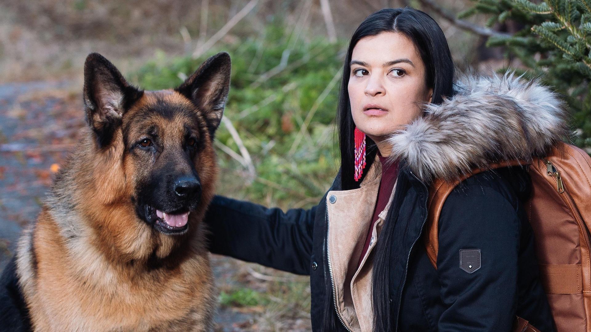 Still from Blood on the Tracks