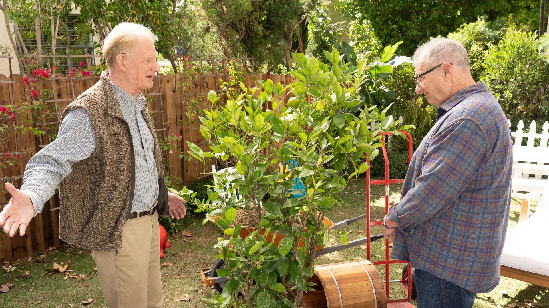 Still from Putting Down Roots