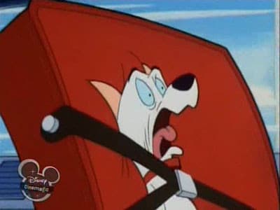 Still from The Great Cat Invasion