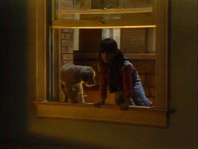 Still from Punky Finds a Home (1)