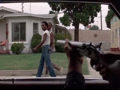 Still from Baby Rattlesnakes