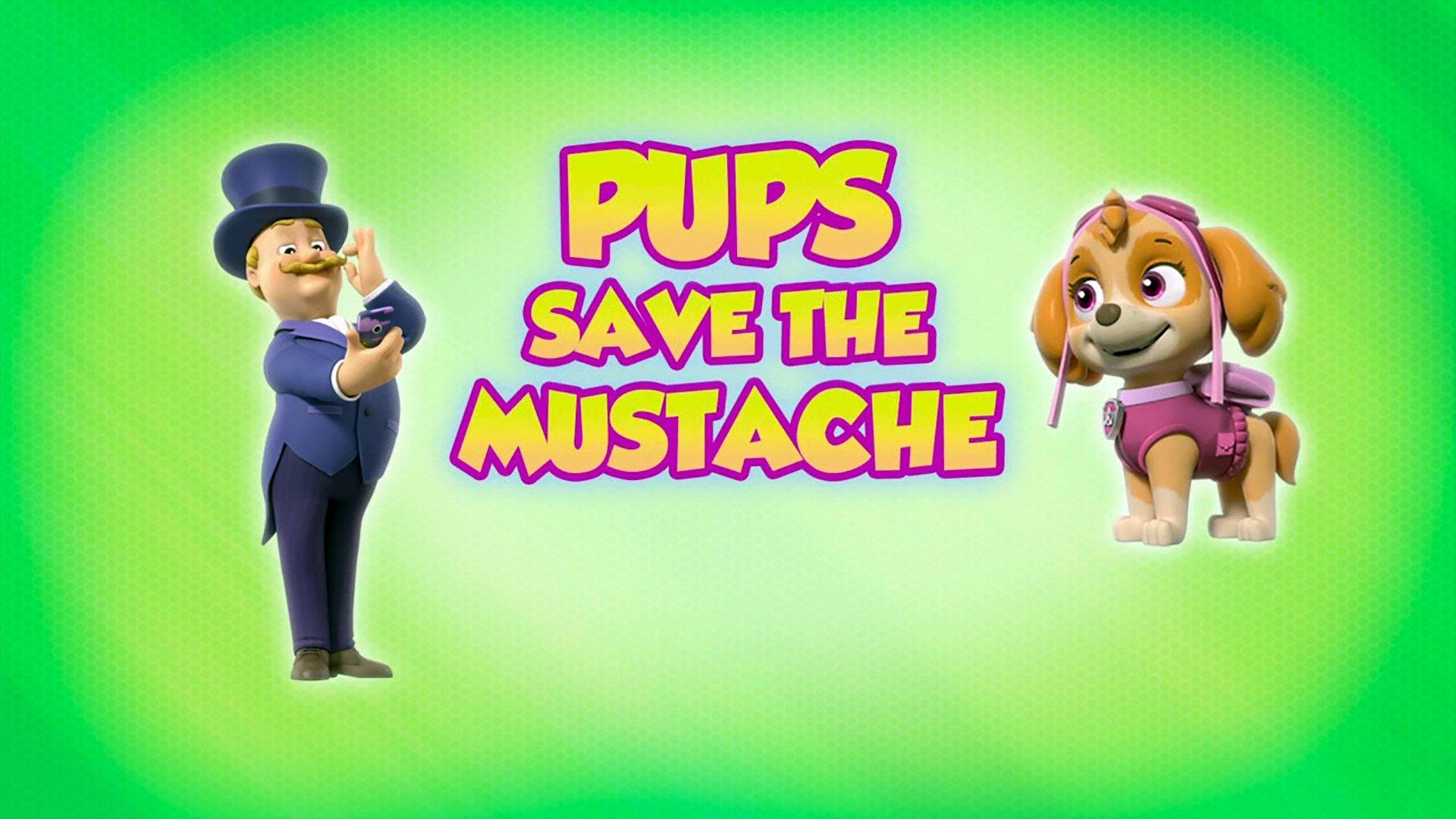 Still from Pups Save the Mustache