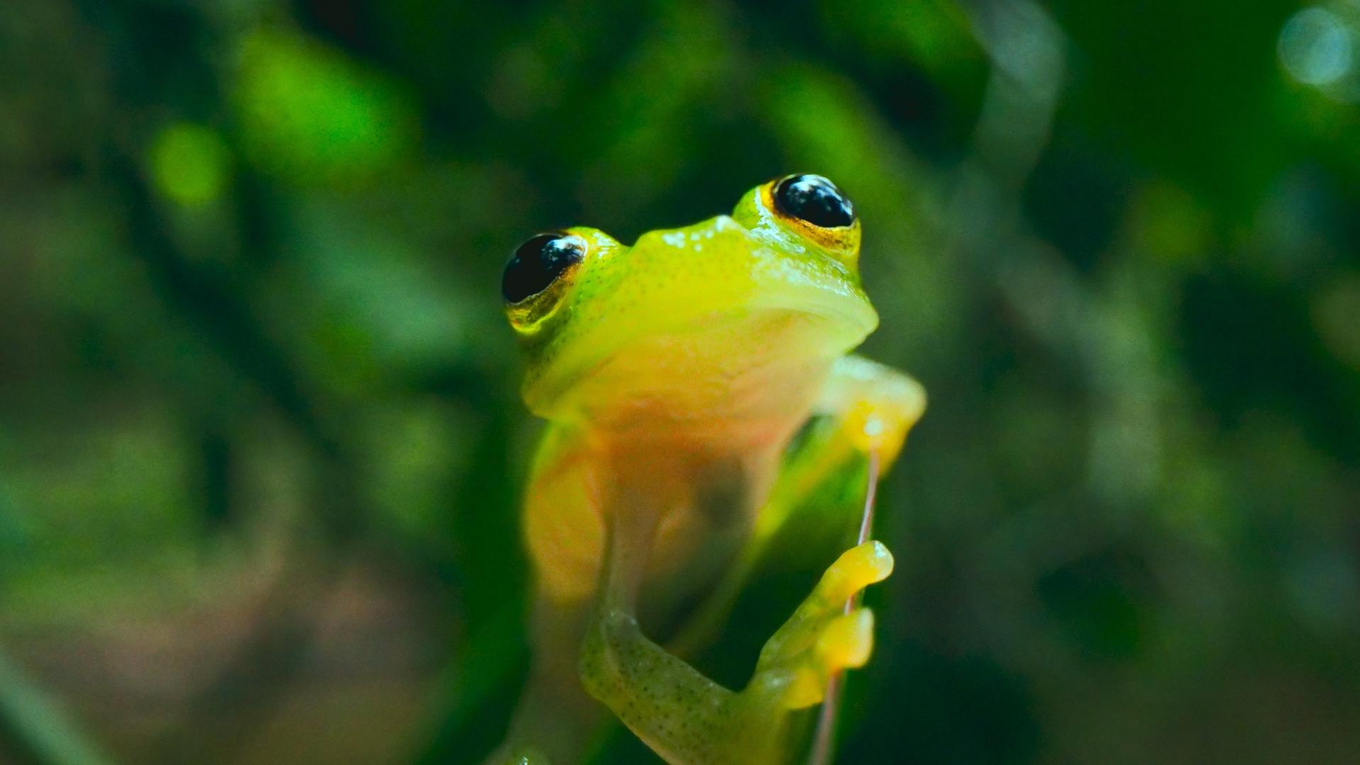 Still from Protecting Yourself