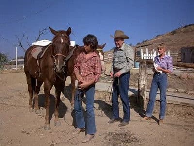 Still from For Want of a Horse