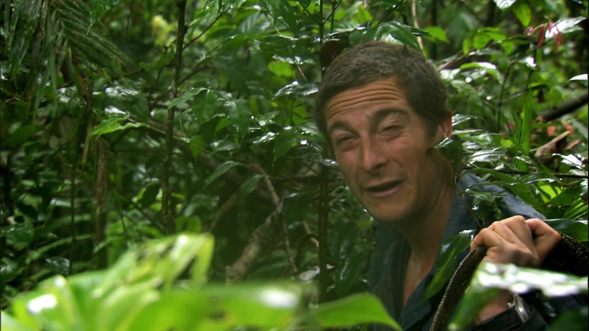 Still from Jungle Swamp (1)