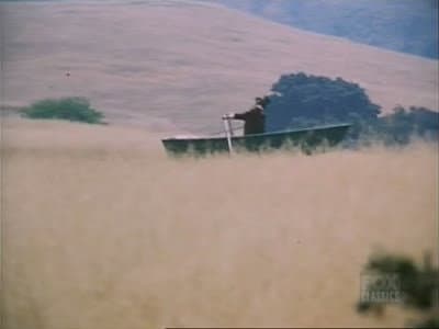 Still from Another Windmill to Go