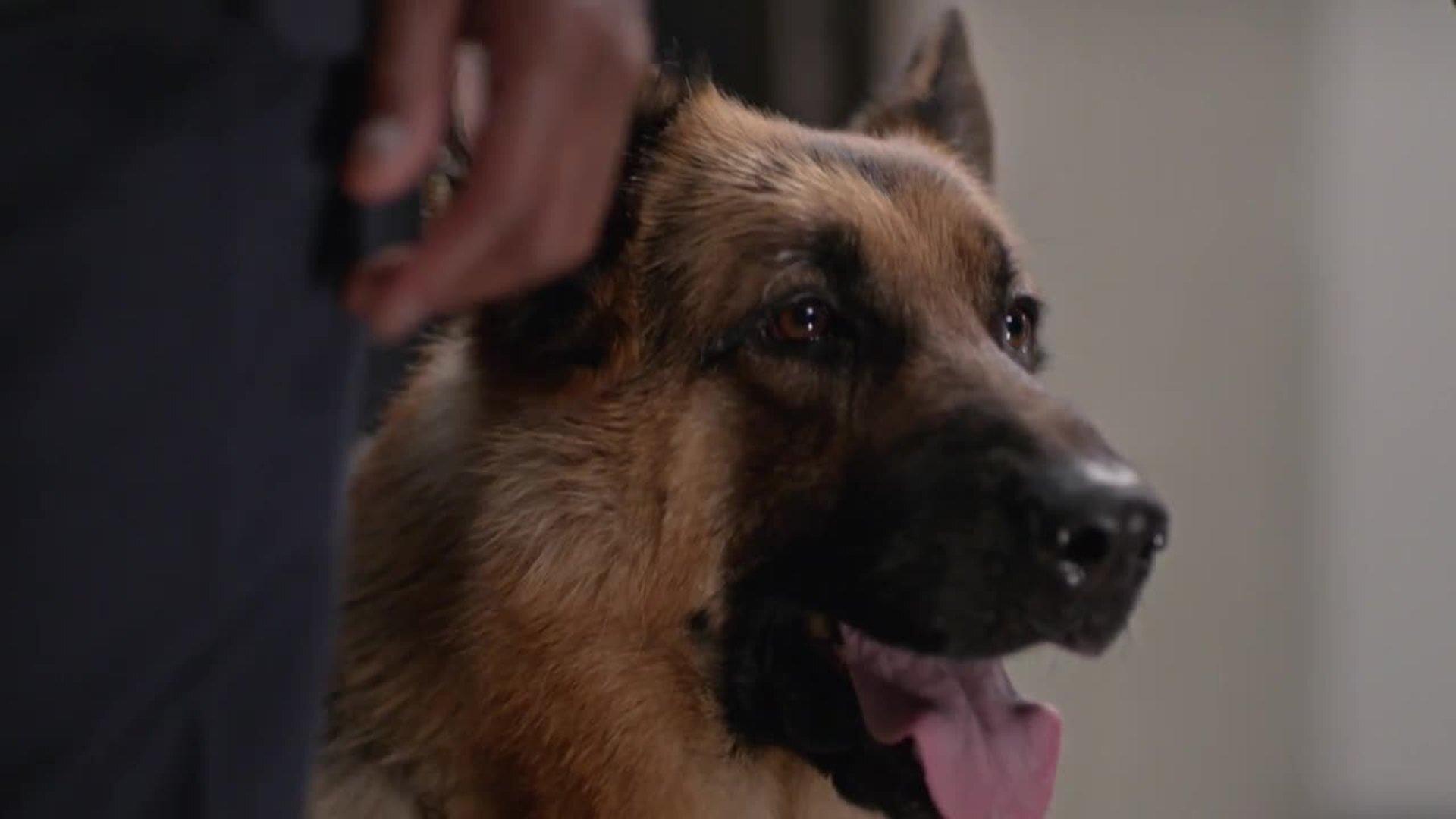 Still from Game of Bones