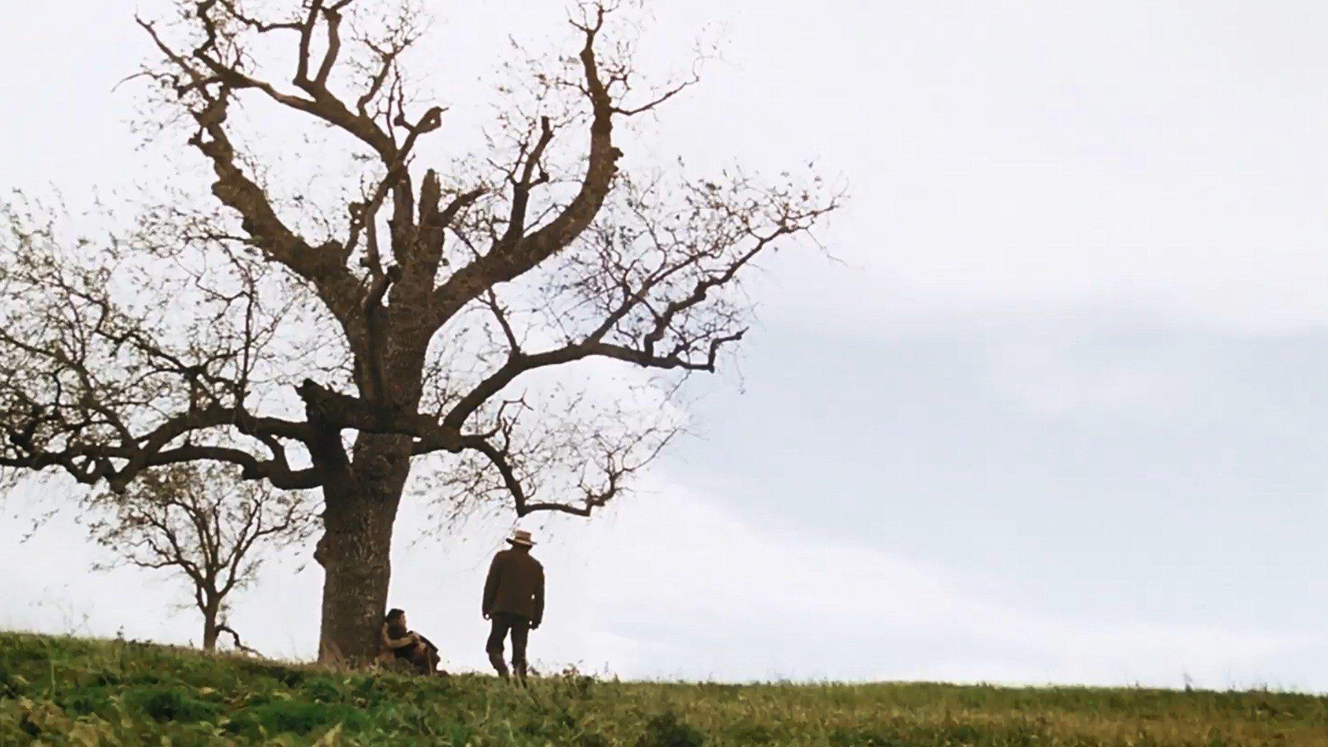 Still from Plague