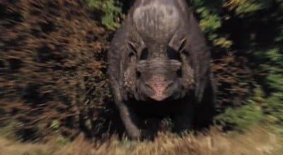 Still from Herd Logic