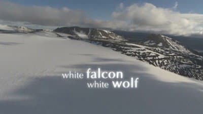 Still from White Falcon, White Wolf