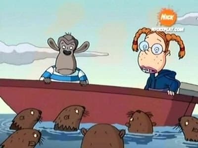Still from You Otter Know