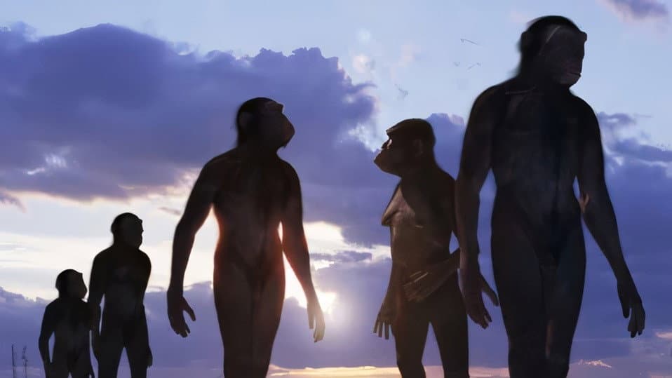 Still from Next of Kin