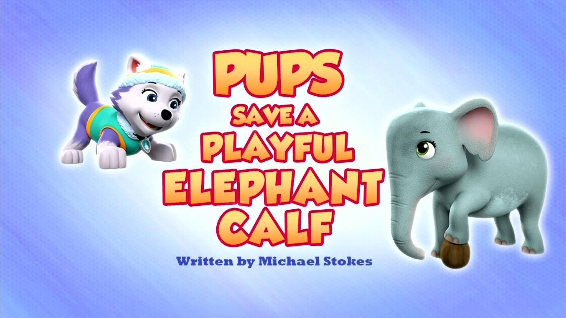 Still from Pups Save a Playful Elephant Calf