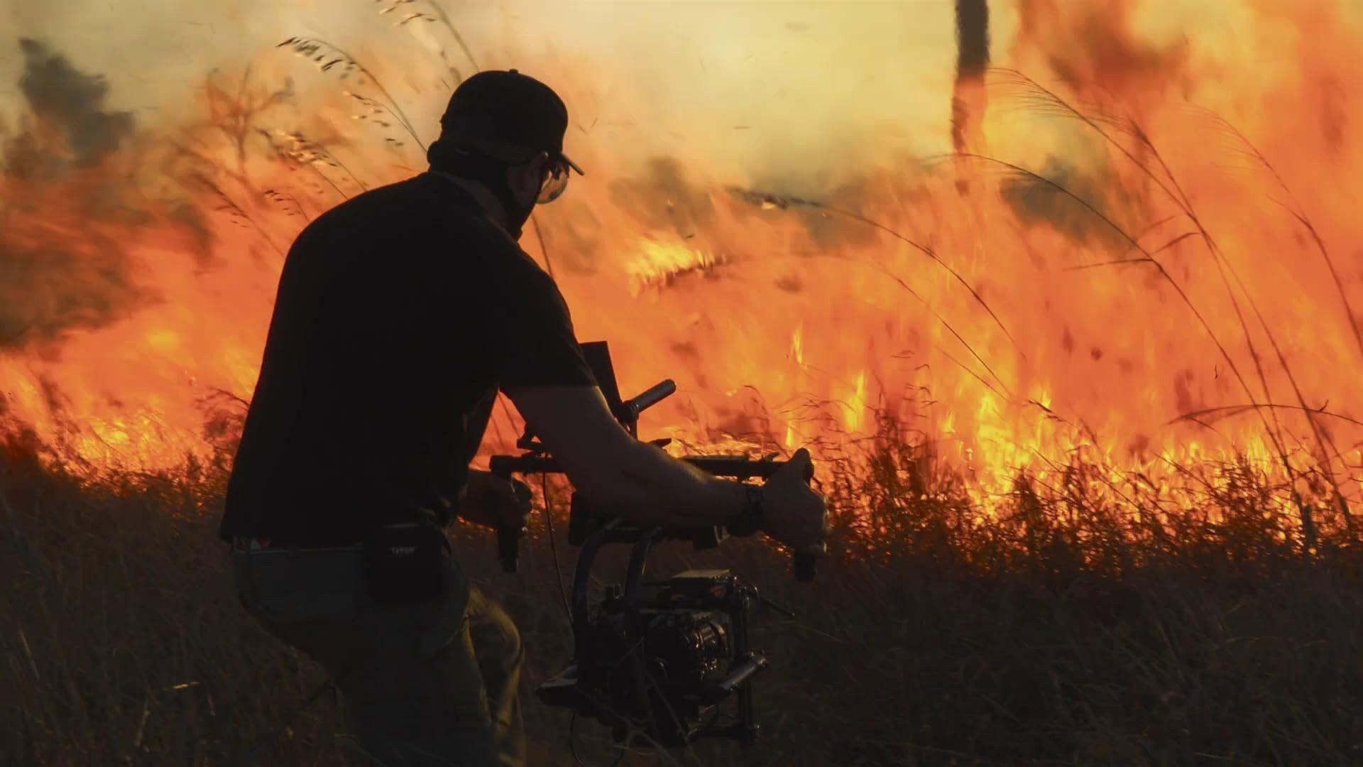 Still from The Making of Planet Earth III