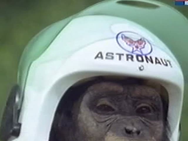 Still from Judy and the Astro-Chimp