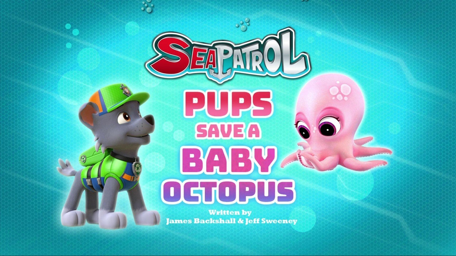 Still from Sea Patrol: Pups Save a Baby Octopus