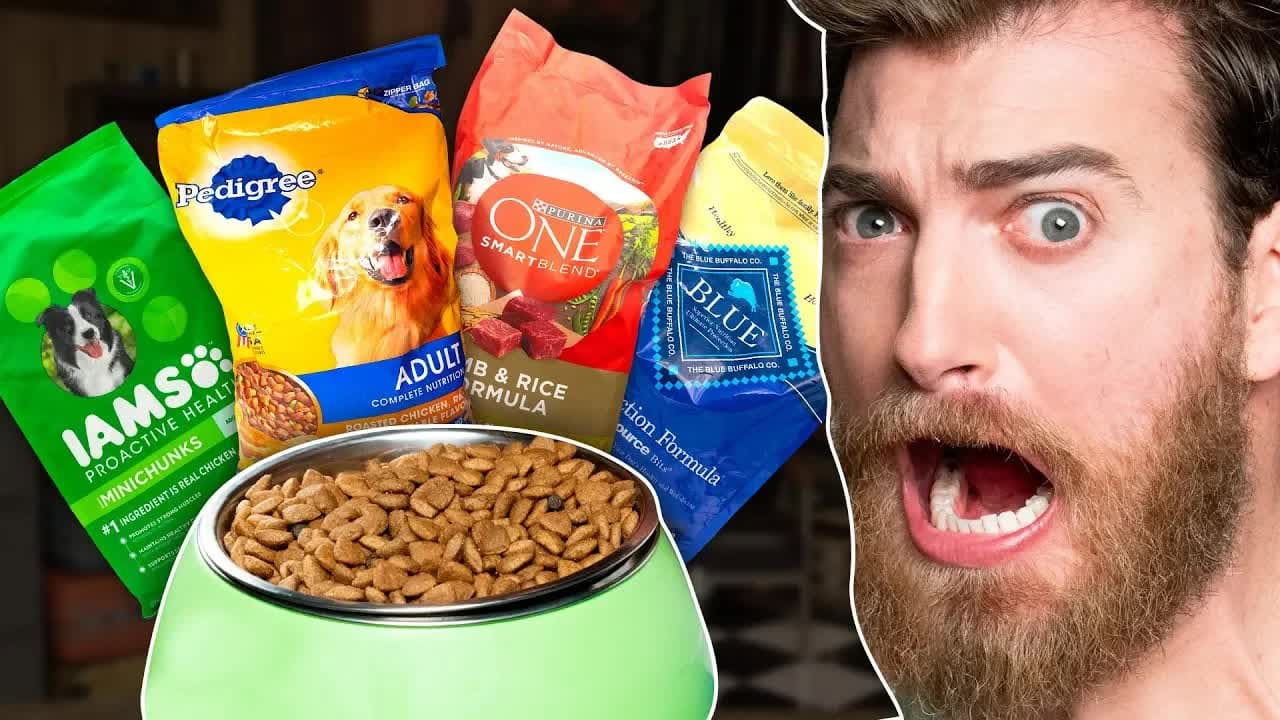 Still from What's The Best Dog Food? Taste Test