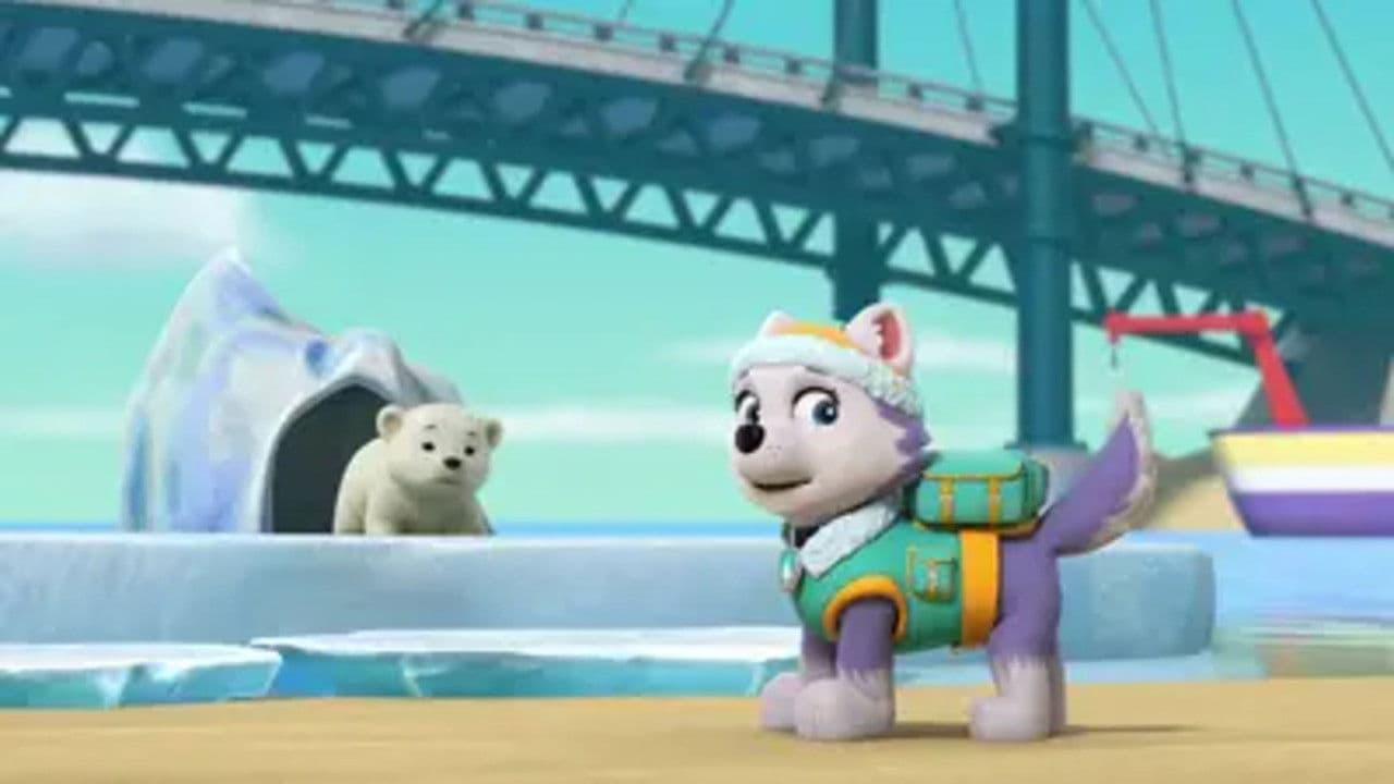 Still from Pups Save a Windswept Polar Bear Cub