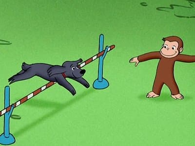 Still from The Box and the Hound