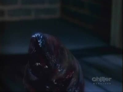 Still from Malcolm