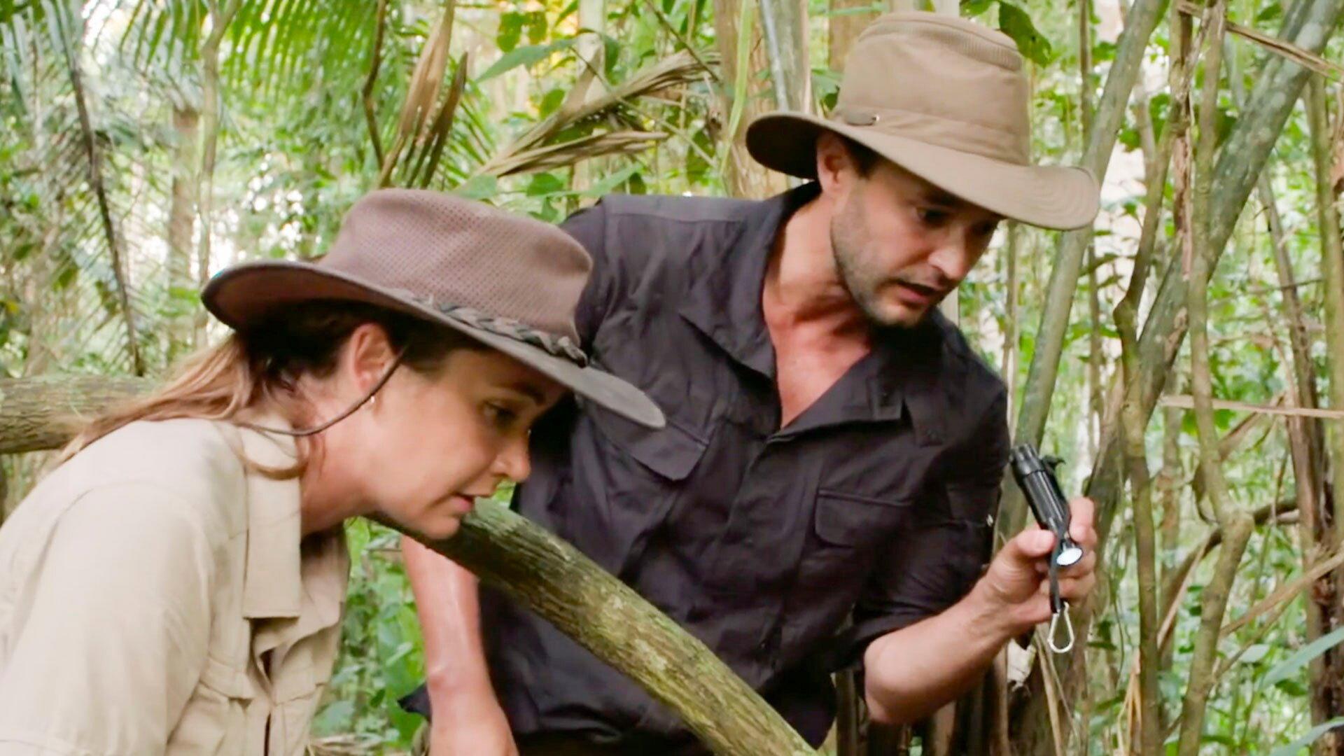 Still from Monster of the Amazon