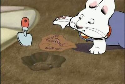 Still from Max's Wormcake