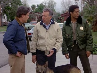 Still from Deadly Protection