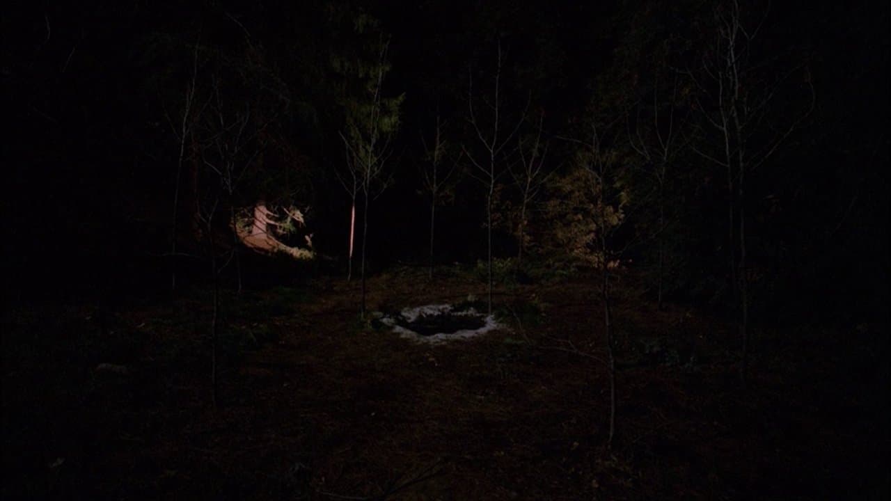 Still from The Path to the Black Lodge