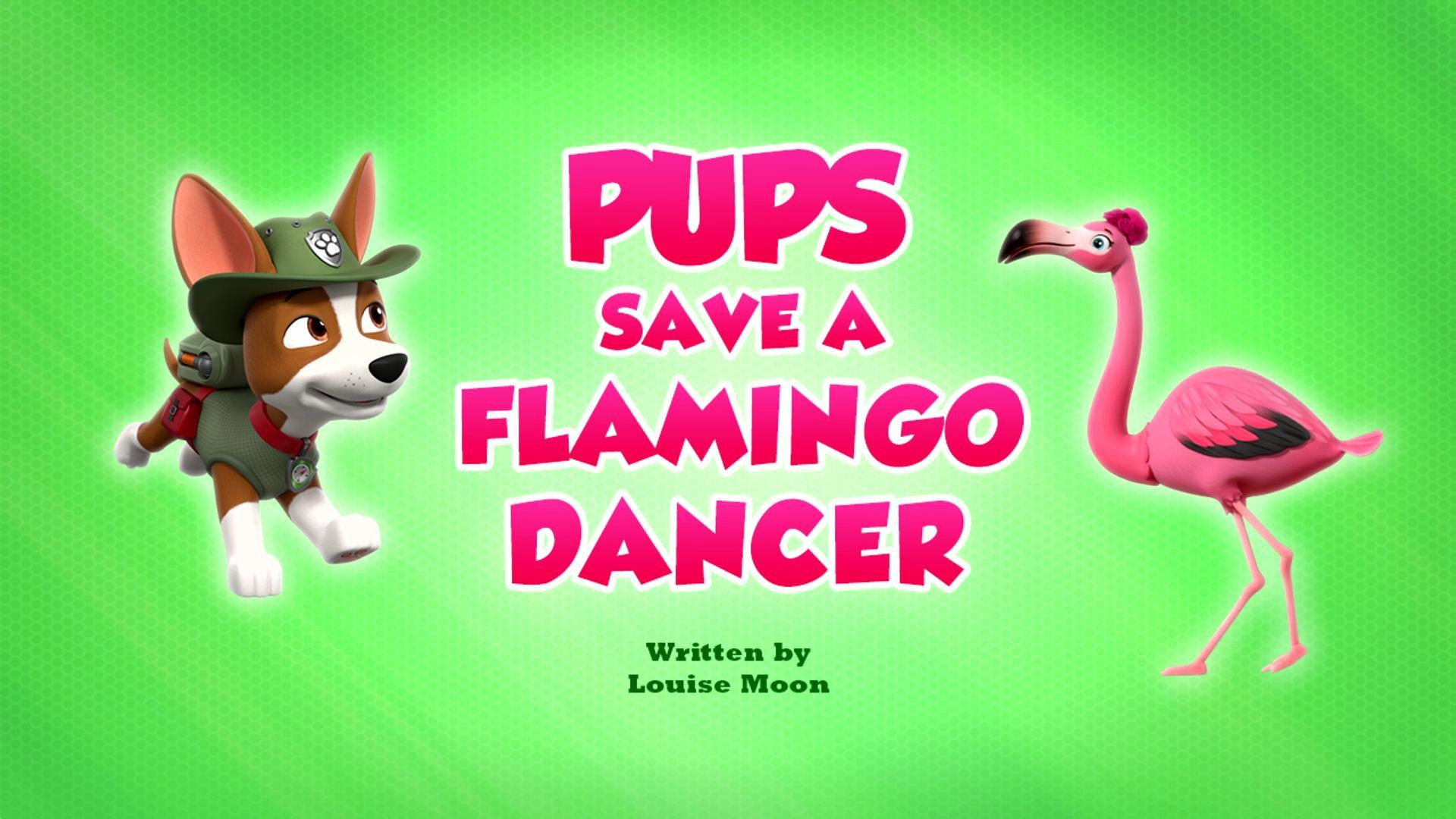 Still from Pups Save a Flamingo Dancer