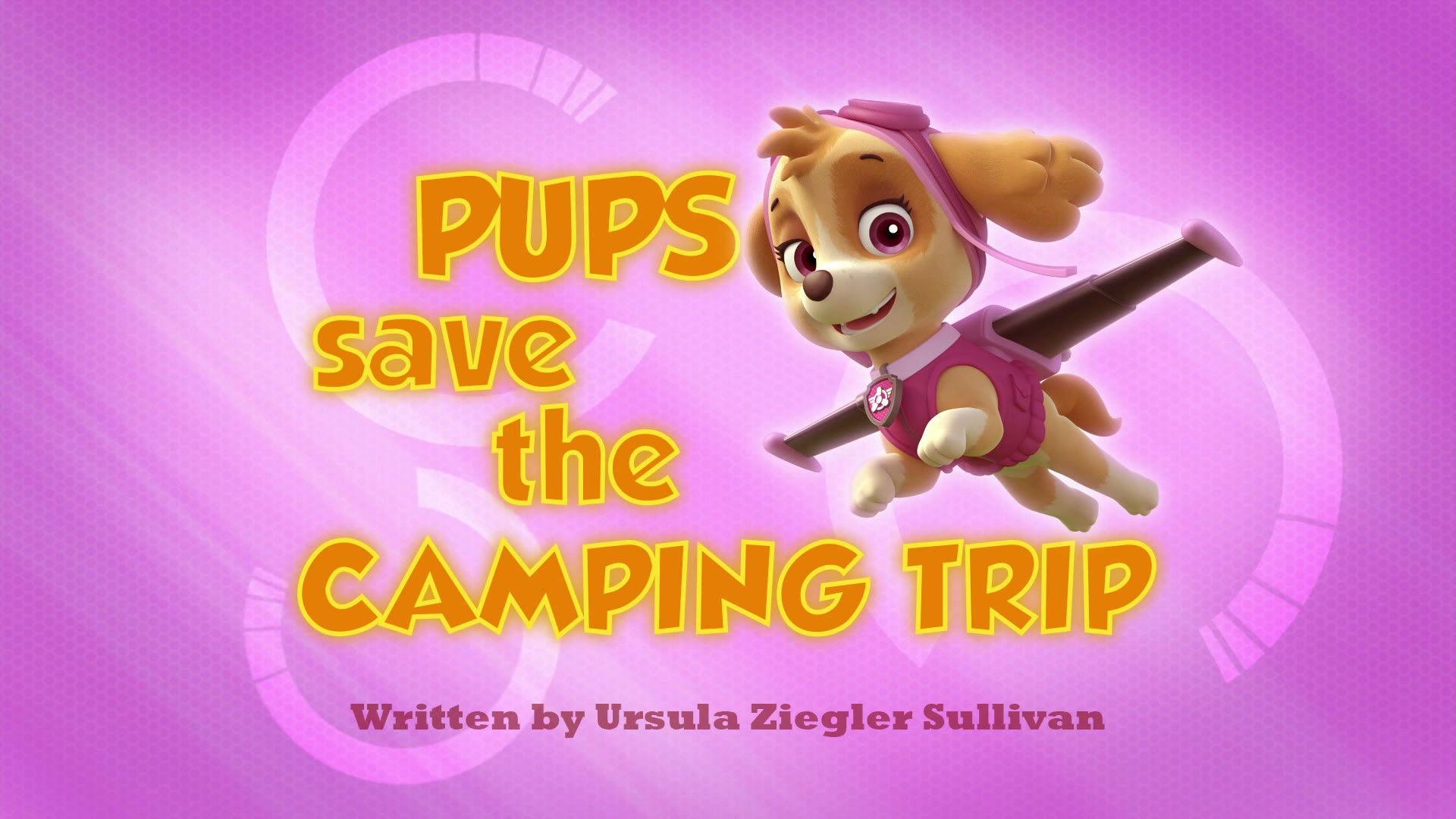 Still from Pups Save the Camping Trip