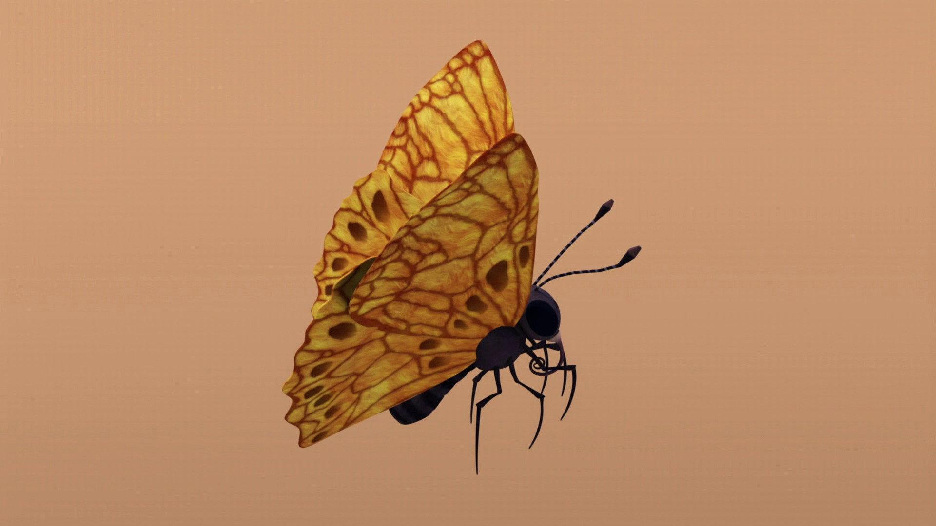 Still from Butterflies