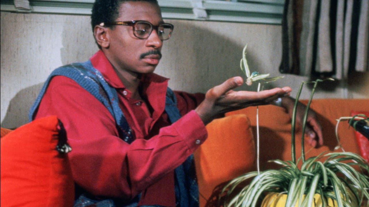 Still from The 21-Inch Sun