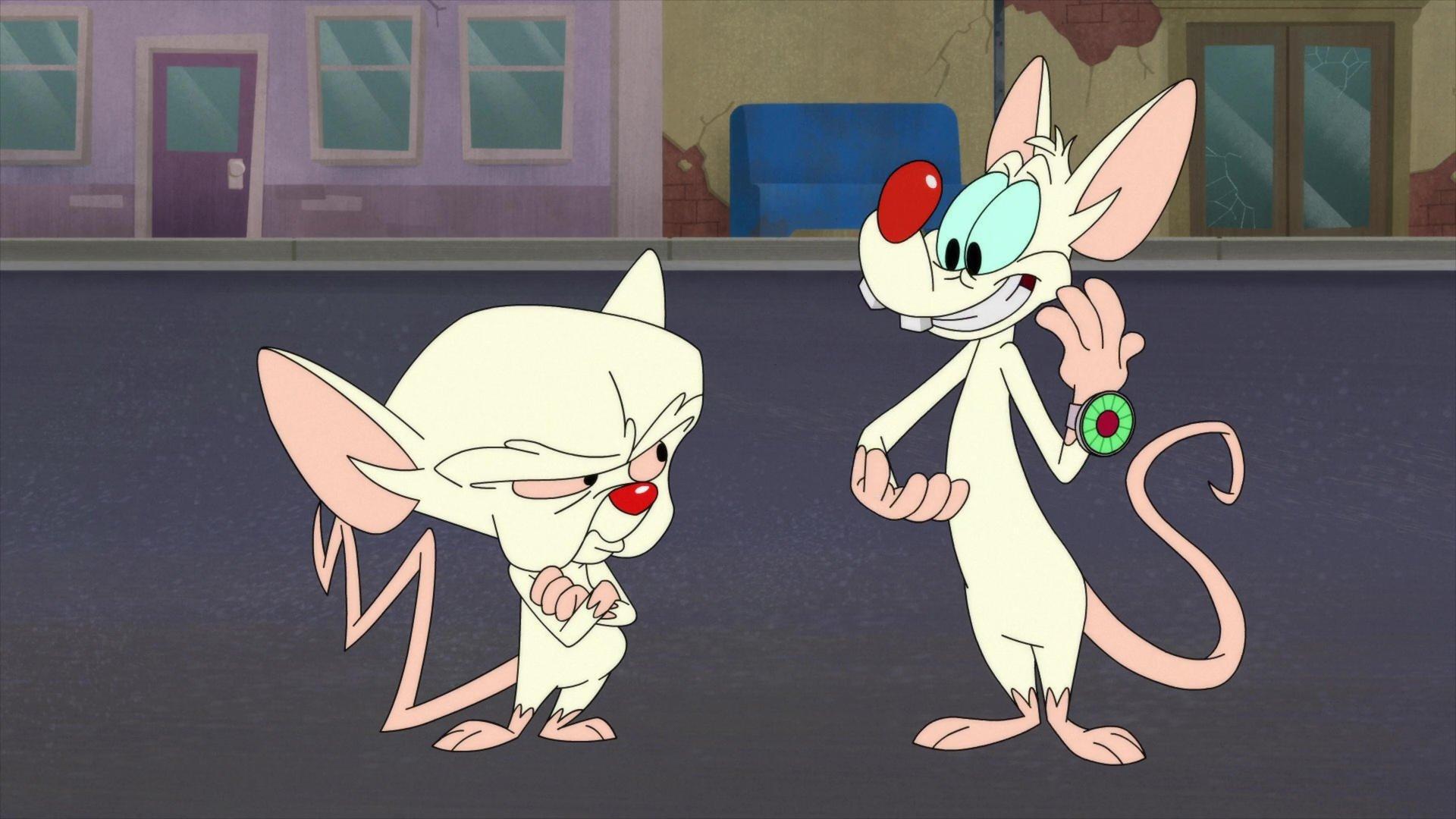 Still from Run Pinky Run