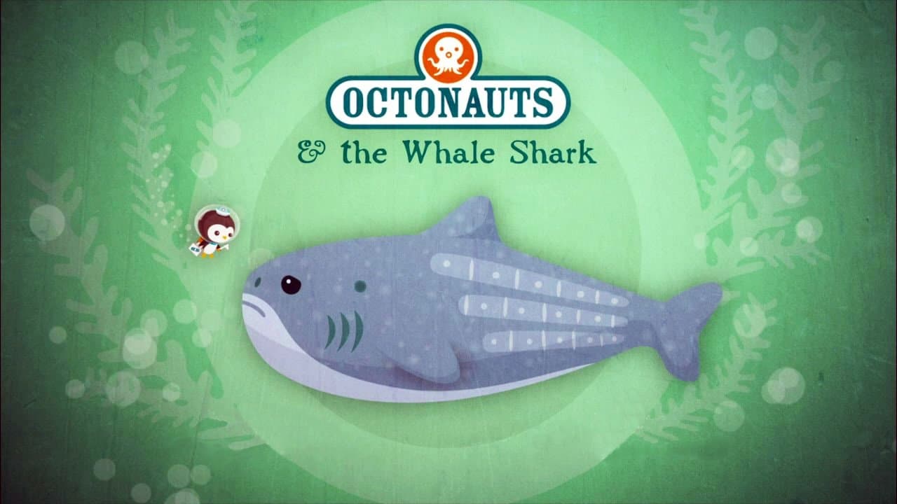 Still from The Whale Shark