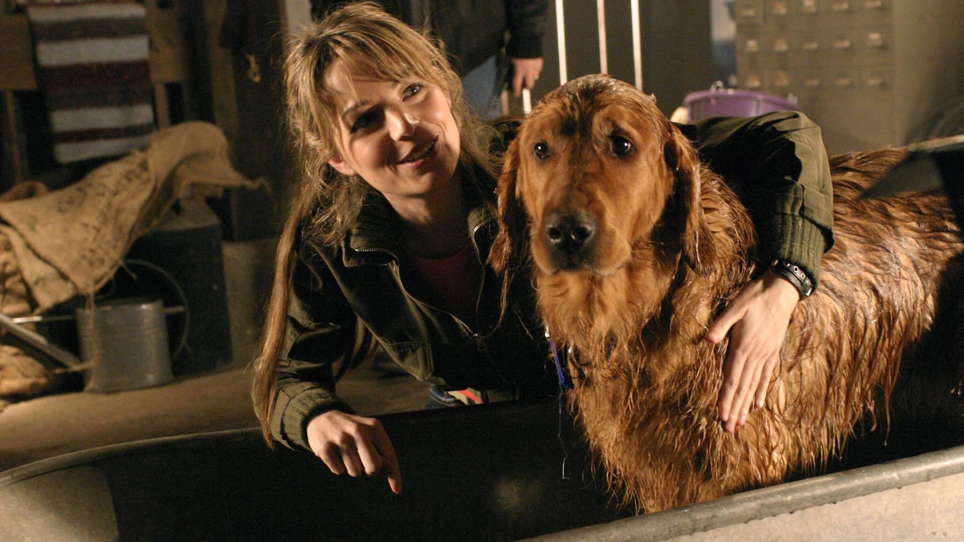 Still from Krypto