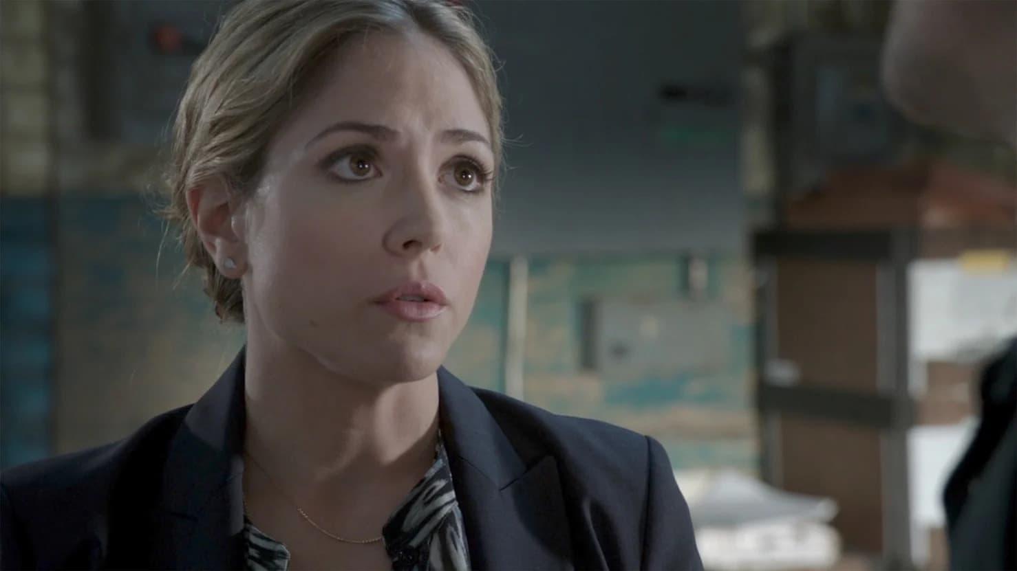 Still from SEALd Fate