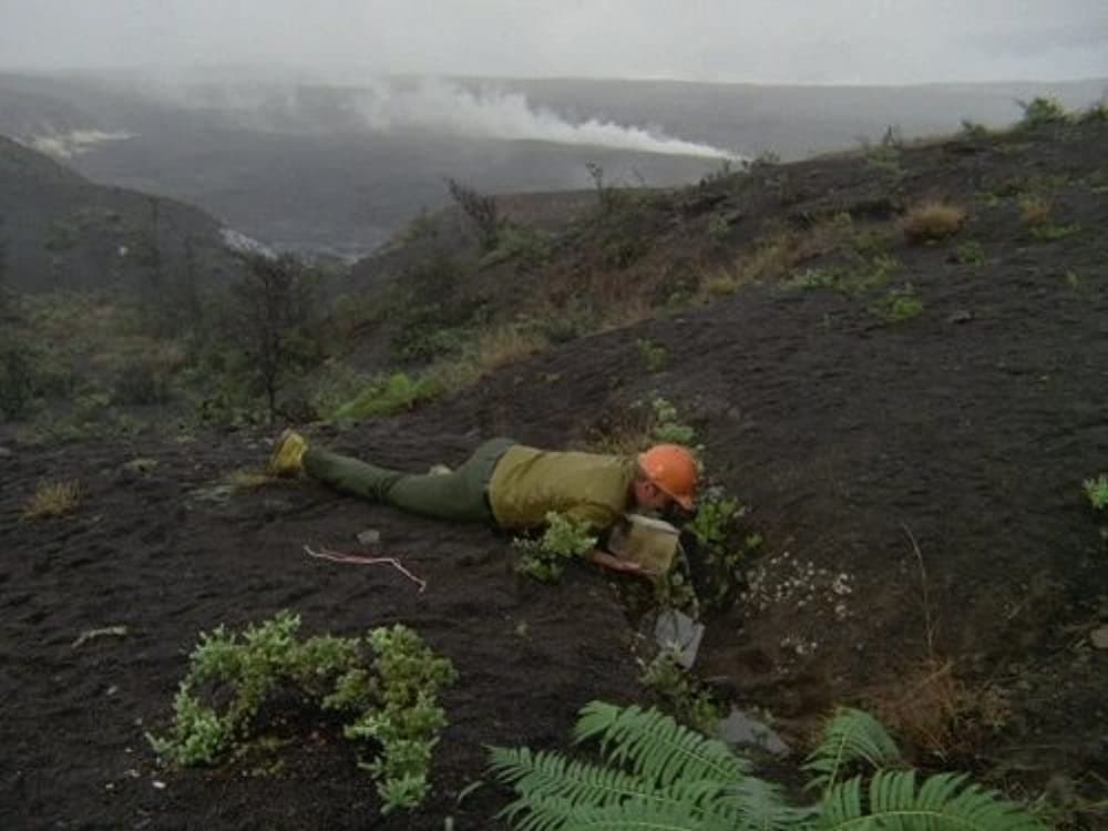 Still from A Hawaiian Nightmare