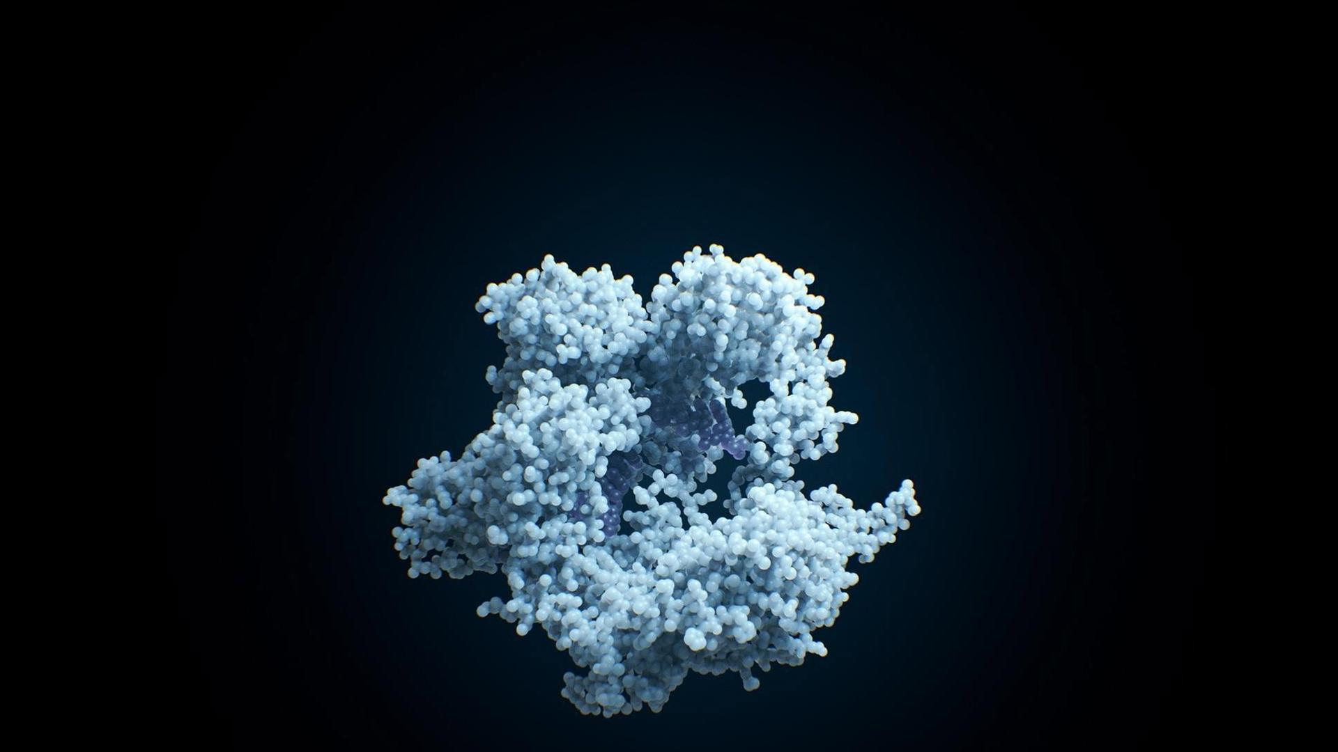 Still from Human Nature / Gene-Editing Reality Check
