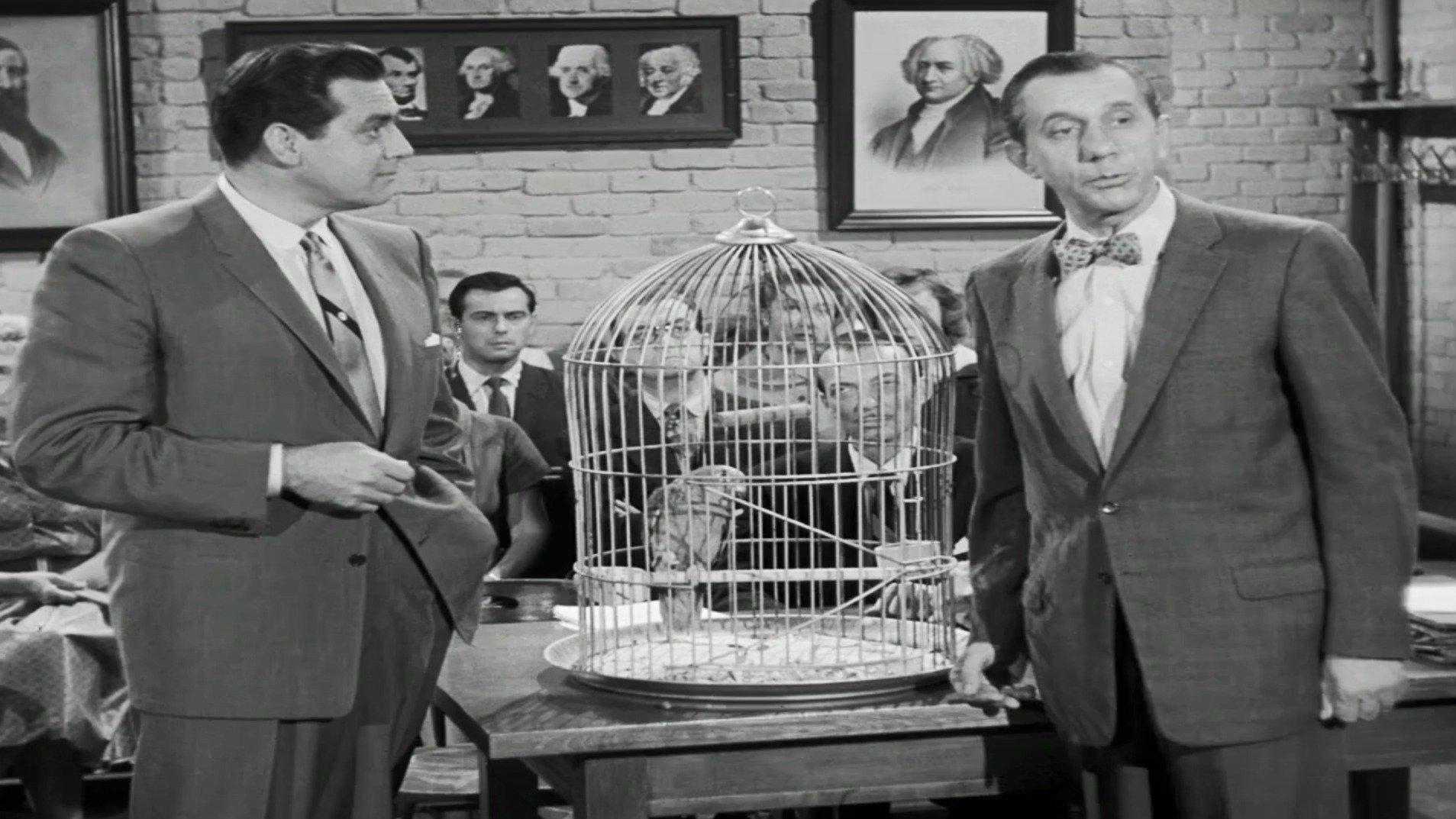 Still from The Case of the Perjured Parrot