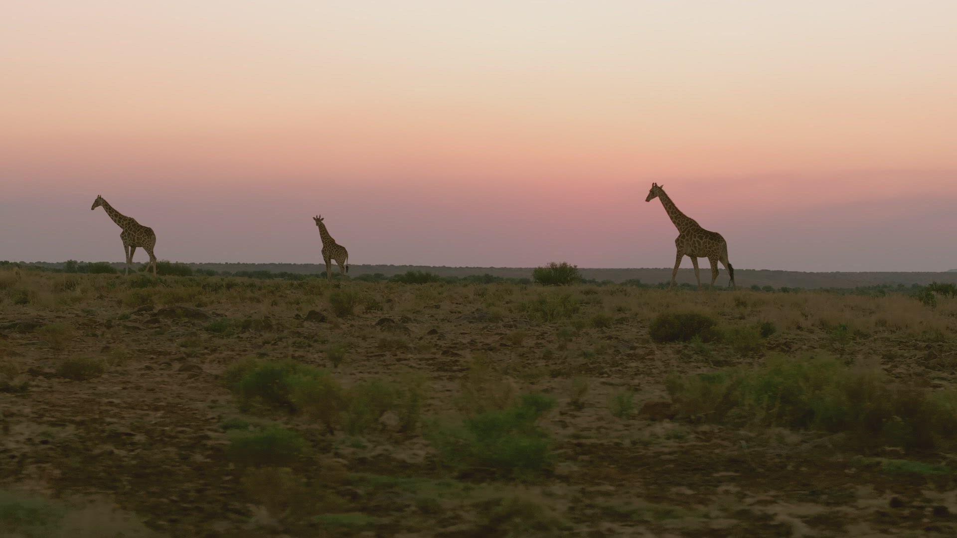 Still from Weak Spot