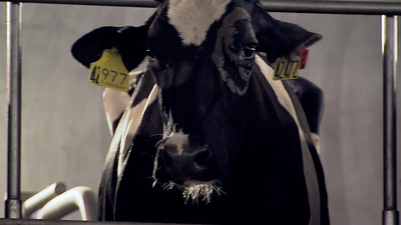 Still from Milk