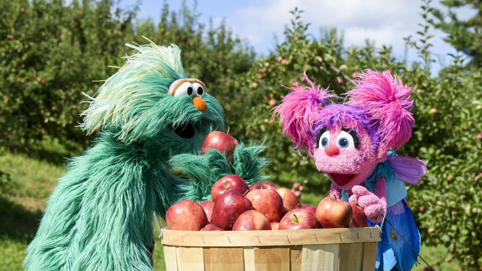 Still from Chickens on the Farm