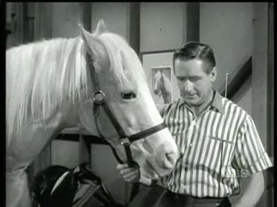 Still from Never Ride Horses