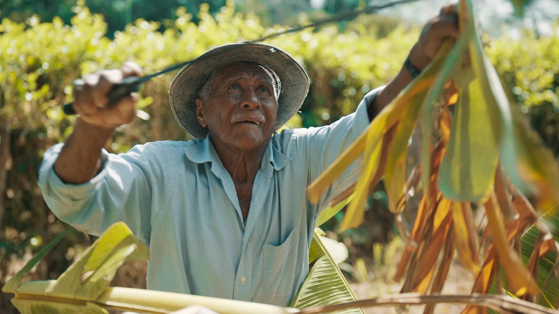 Still from The End of Blue Zones?