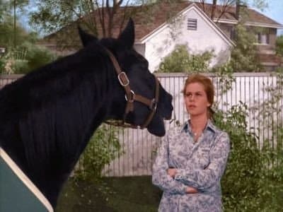 Still from The Horse's Mouth