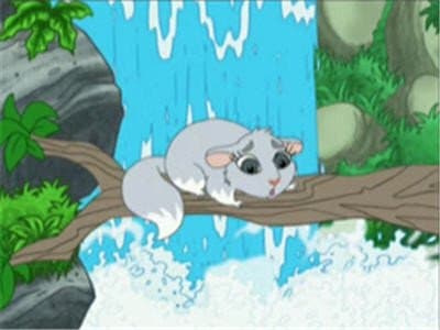 Still from Chinta the Baby Chinchilla