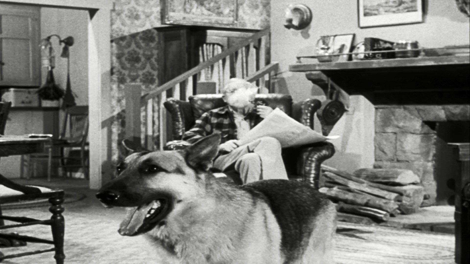 Still from The Case of the Lazy Lover