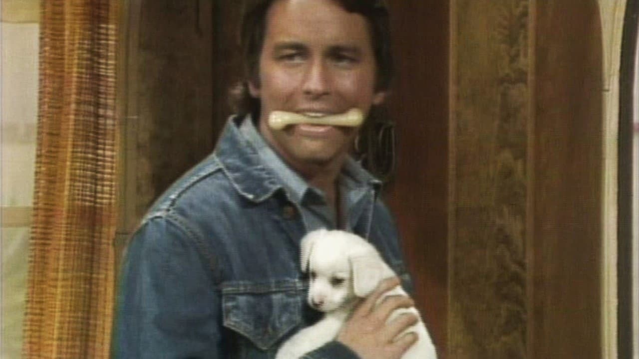 Still from No Children, No Dogs